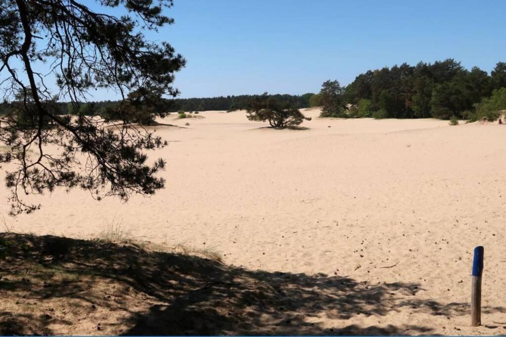 Luxe Veluwse Chalet te huur met sauna Villa Doornspijk Buitenkant foto